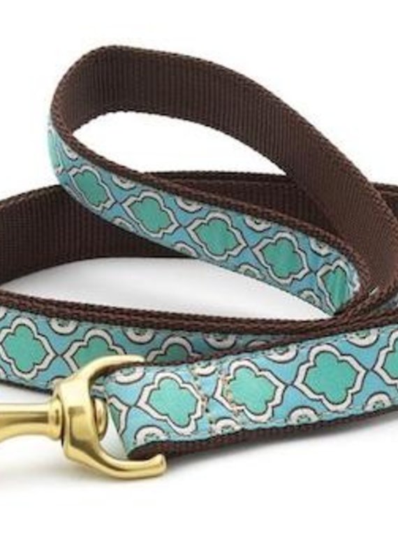 Up Country Up Country Leash Seaglass