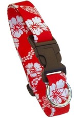 Beach Dog Laguna Leash