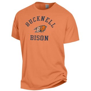 ComfortWash Men's Bison T-Shirt