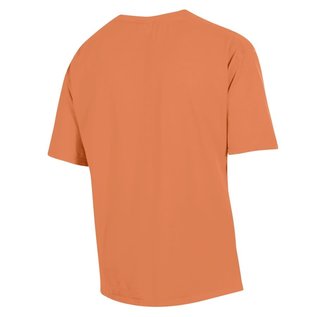 ComfortWash Men's Bison T-Shirt