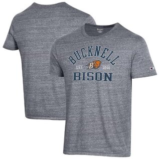 ComfortWash Men's Bison T-Shirt
