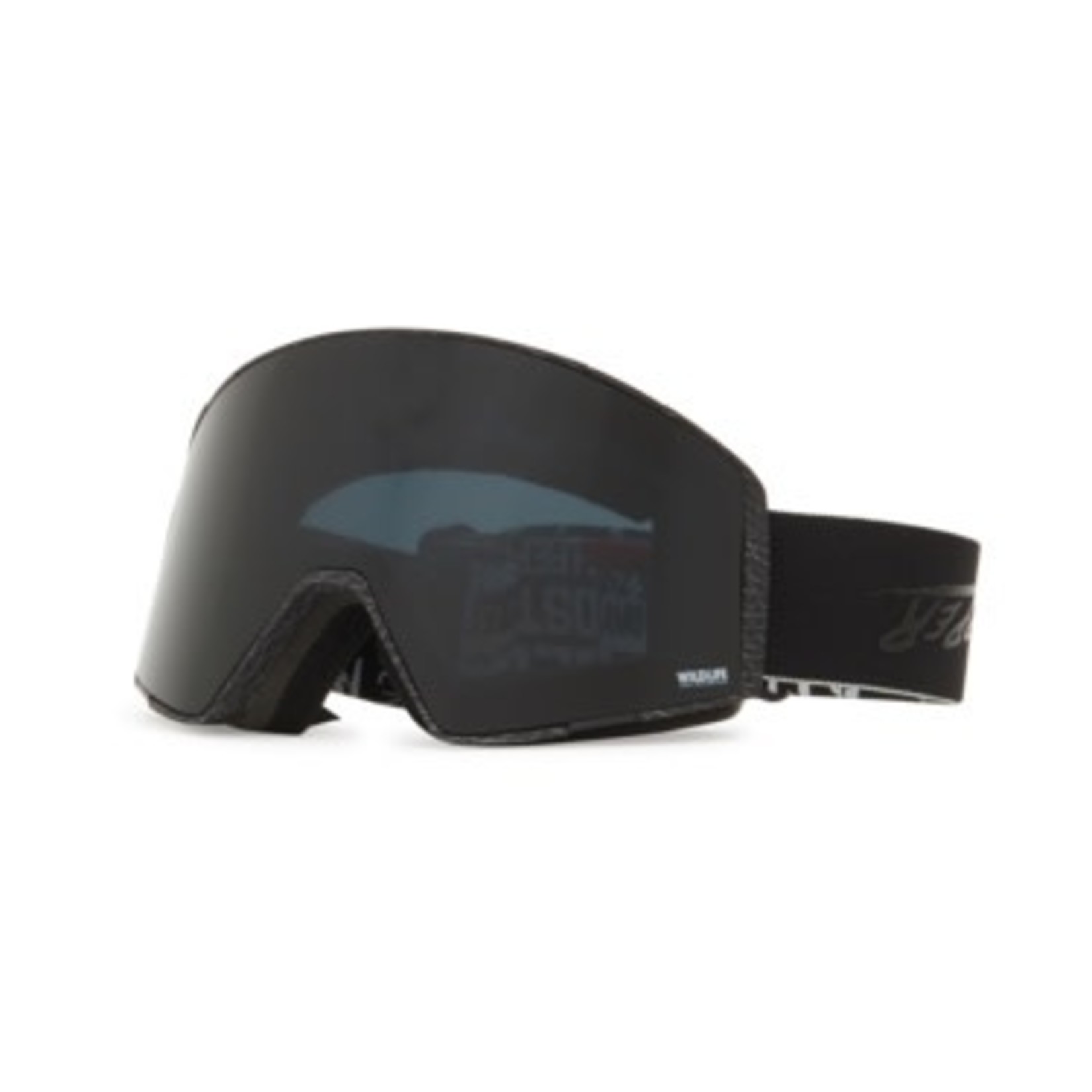 Alpine Goggle +Lens Capsule McSporties Enterprises