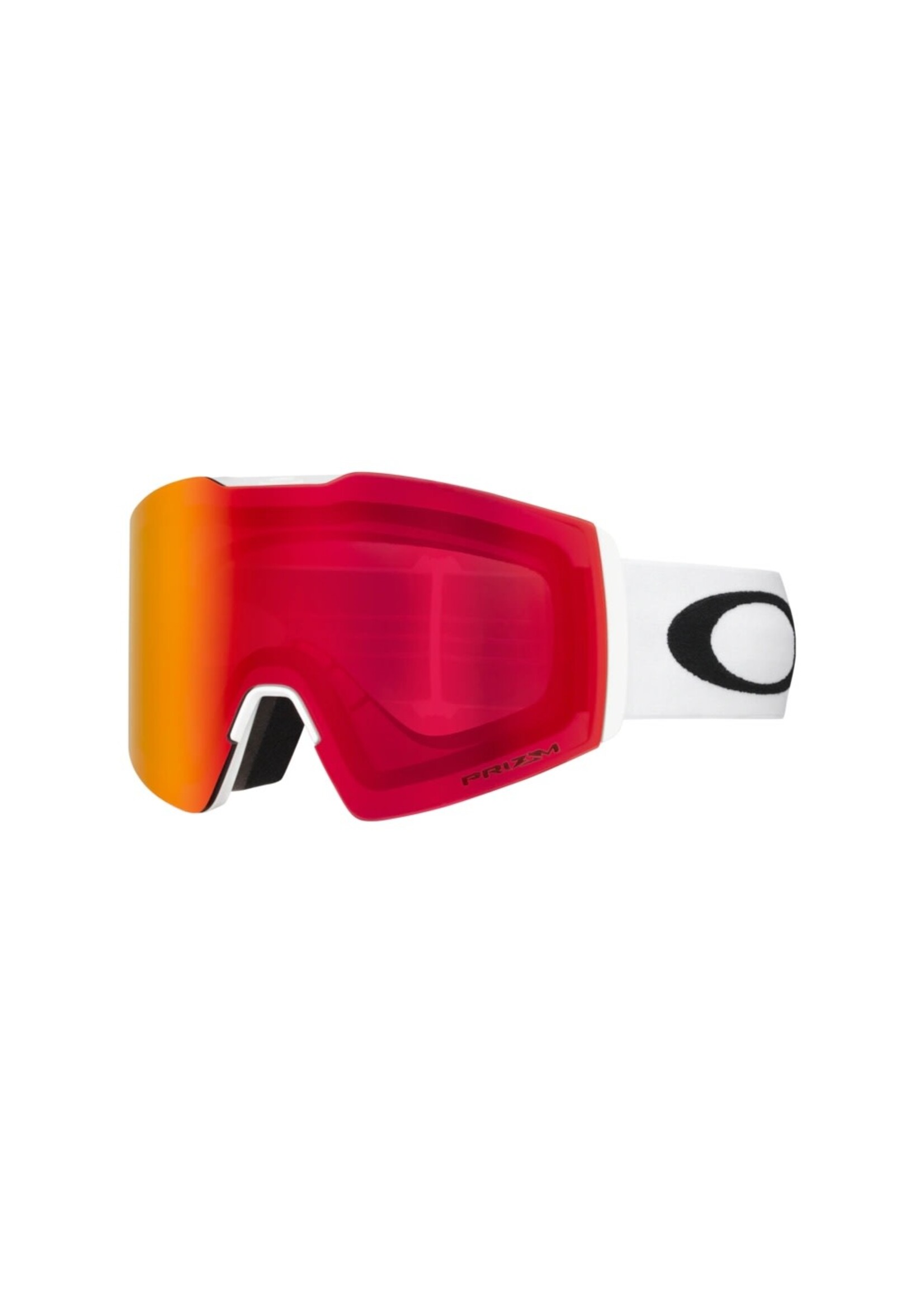 Oakley Alpine Goggle Fall Line L