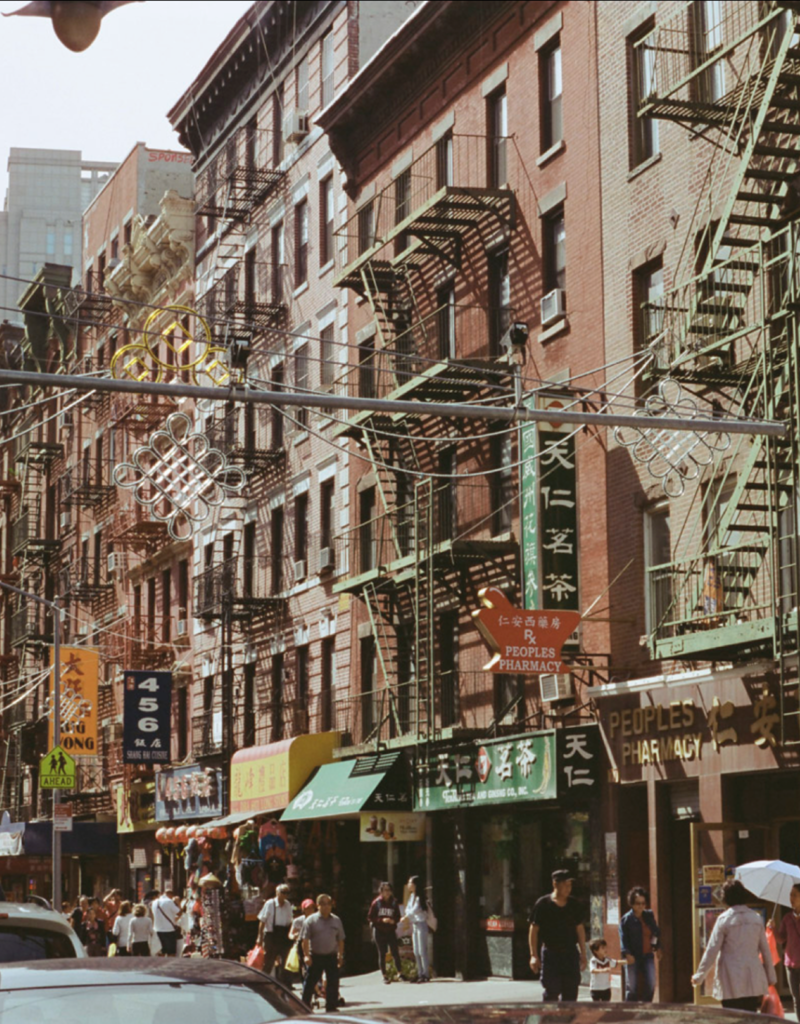 Cinestill CineStill 800T 800 ISO Tungsten C-41 Film 120