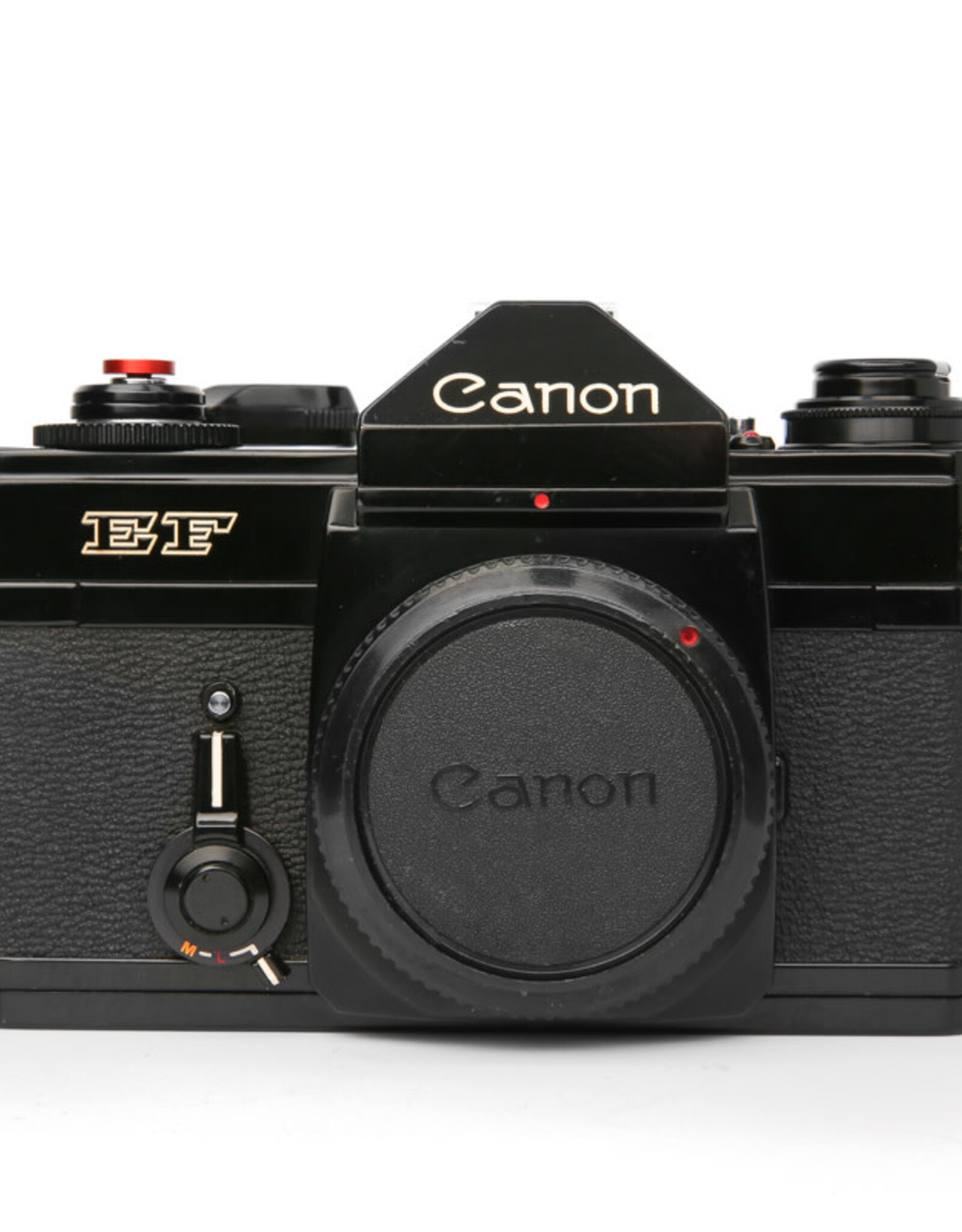 Canon Canon EF 35mm SLR Camera (Body Only)