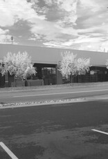 Fuji Fuji Finepix S5100 10x Zoom Digital Camera Full Spectrum Converted With IR Filter