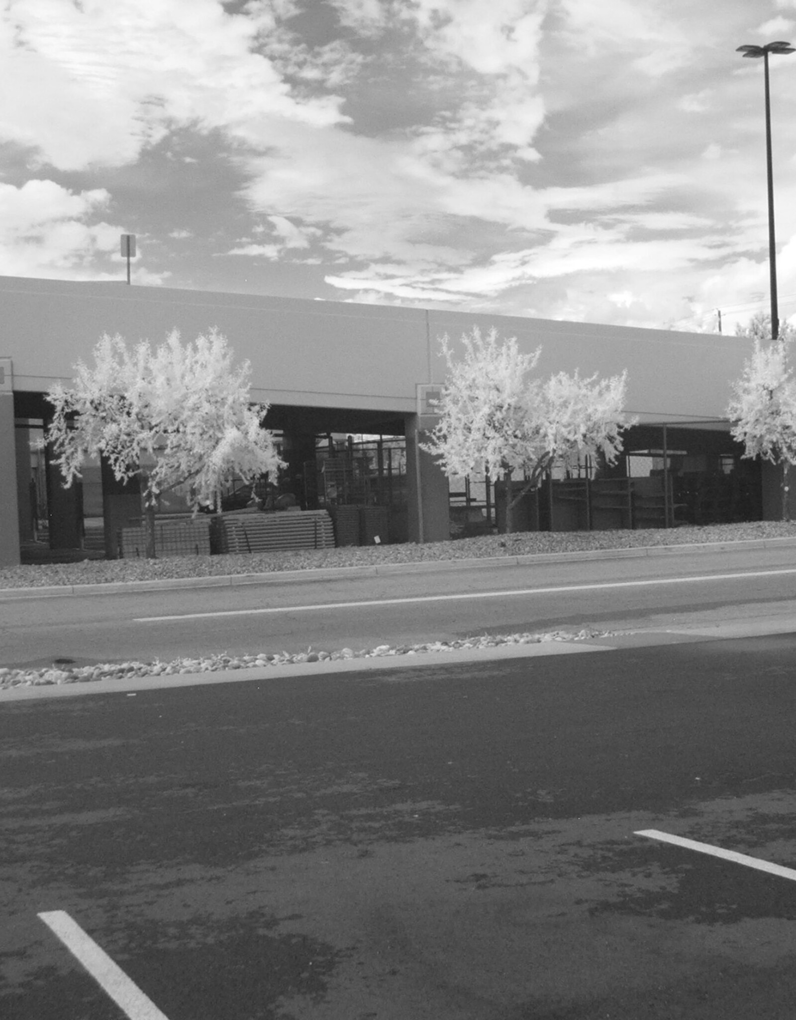 Fuji Fuji Finepix S5100 10x Zoom Digital Camera Full Spectrum Converted With IR Filter