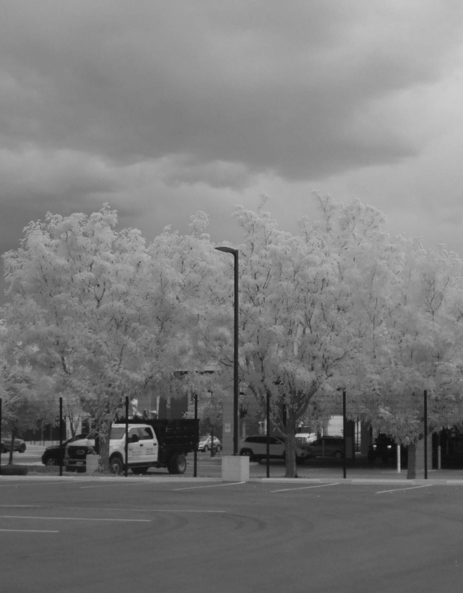 Fuji Fuji Finepix S5100 10x Zoom Digital Camera Full Spectrum Converted With IR Filter