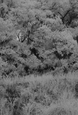 Fuji Fuji Finepix S5100 10x Zoom Digital Camera Full Spectrum Converted With IR Filter
