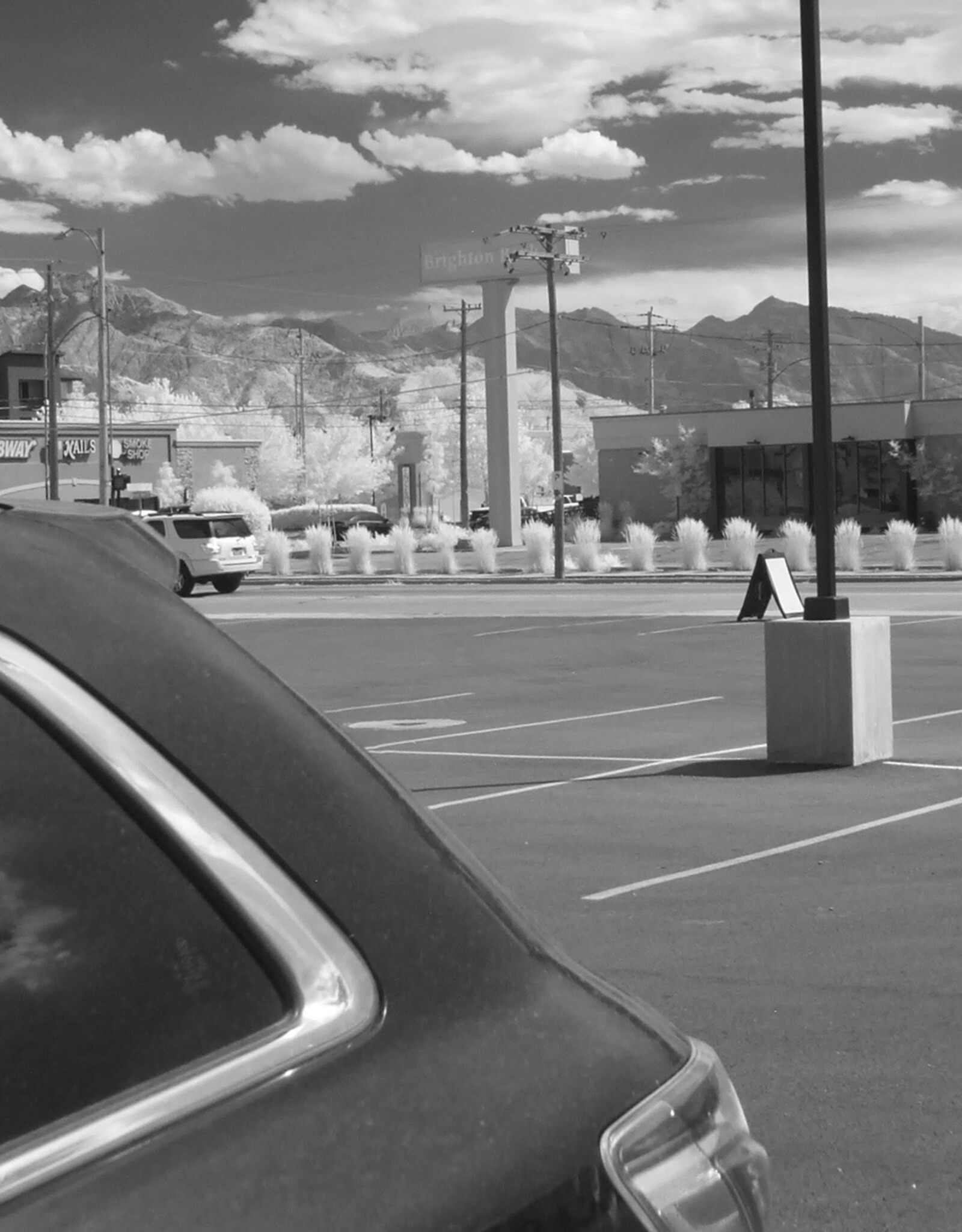 Fuji Fuji Finepix S5100 10x Zoom Digital Camera Full Spectrum Converted With IR Filter