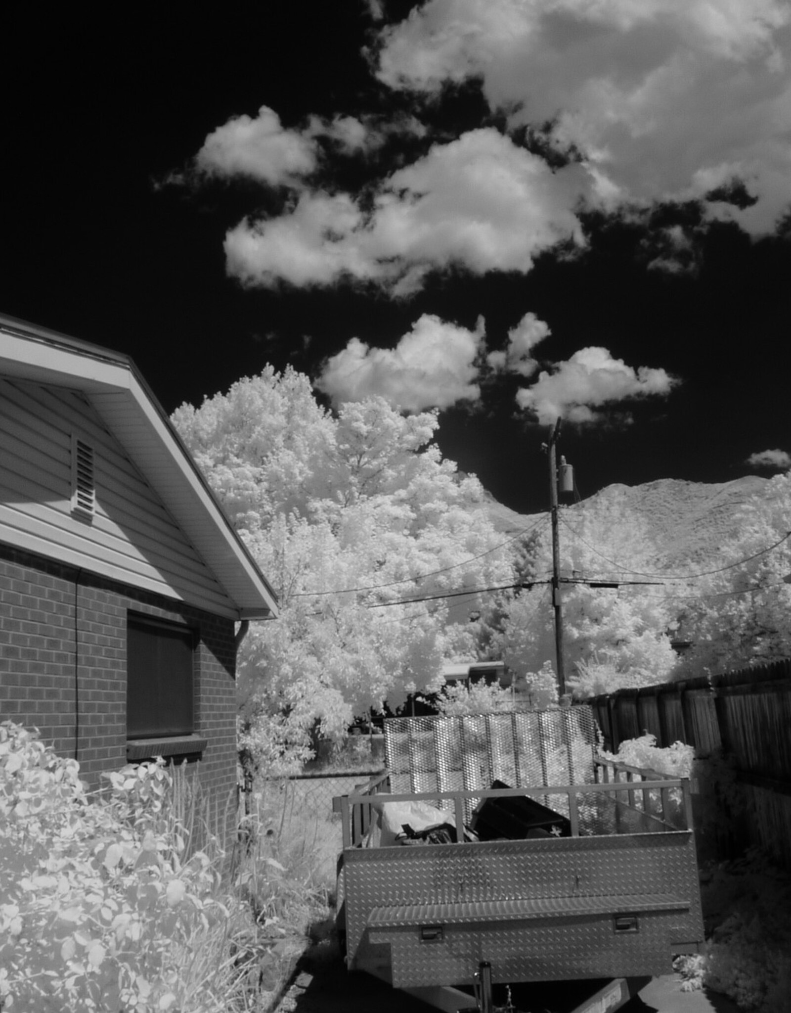 Fuji Fuji Finepix S5100 10x Zoom Digital Camera Full Spectrum Converted With IR Filter