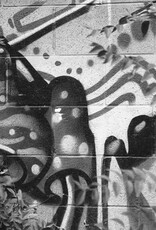 Pantheory 100 B&W 35mm Experimental Film 27 exp.