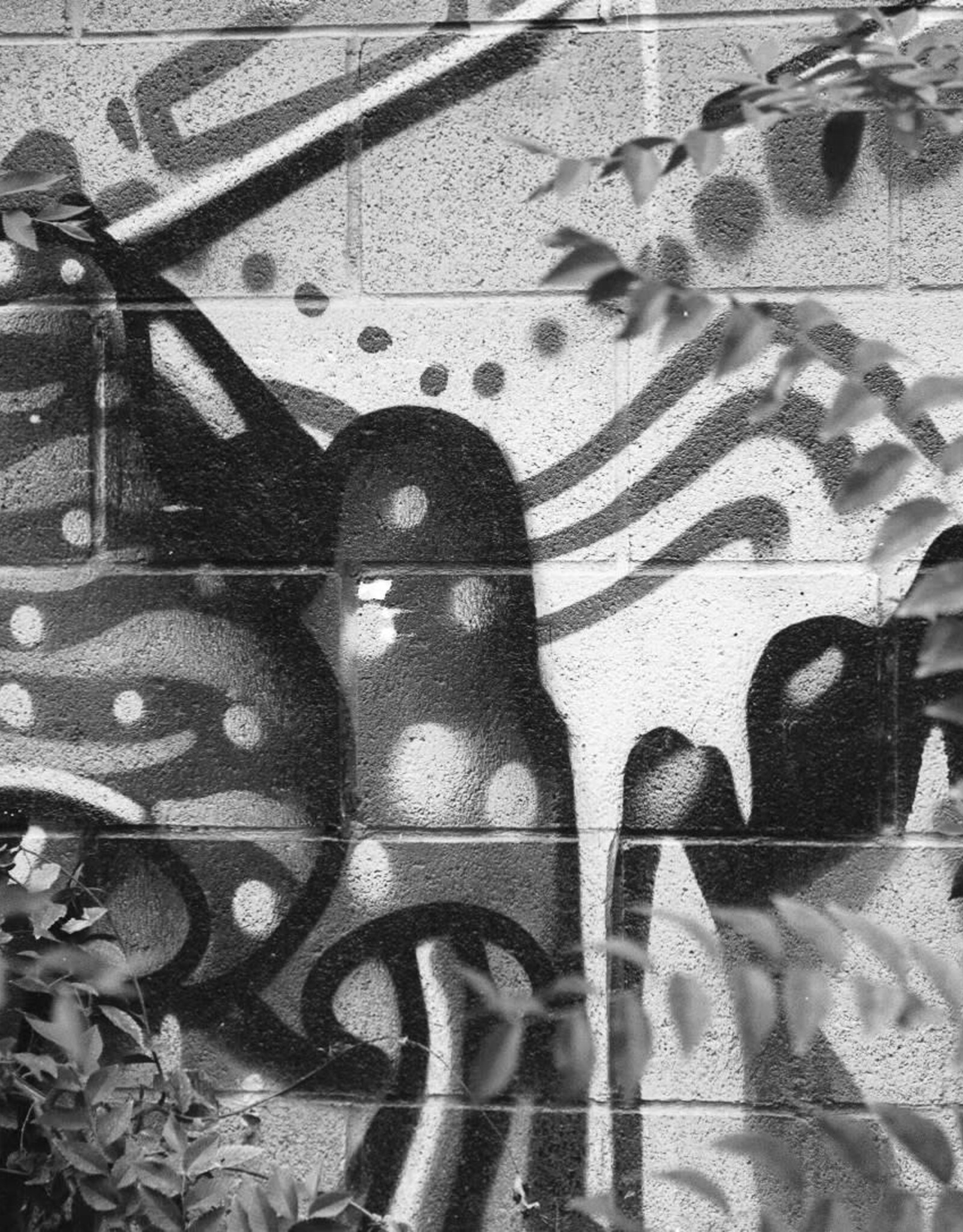 Pantheory 100 B&W 35mm Experimental Film 27 exp.