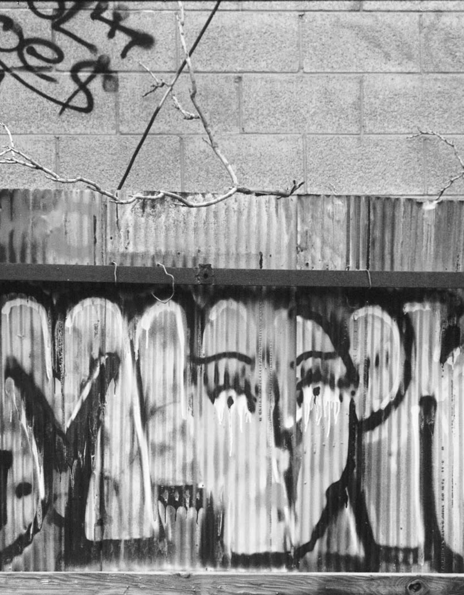 Pantheory 100 B&W 35mm Experimental Film 27 exp.