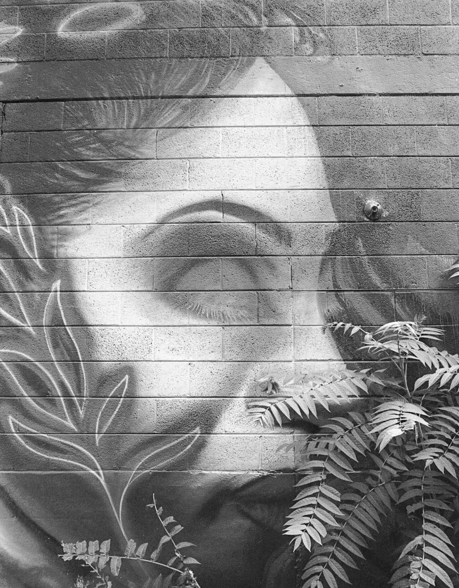 Pantheory 100 B&W 35mm Experimental Film 27 exp.