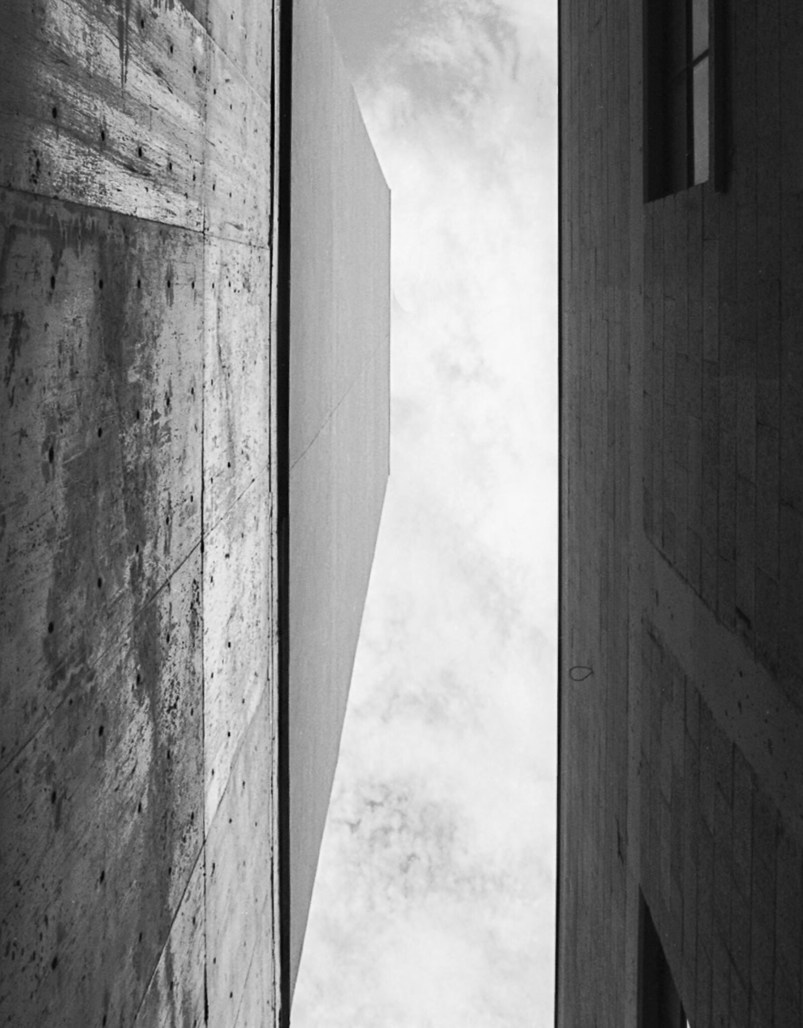 Pantheory 100 B&W 35mm Experimental Film 27 exp.