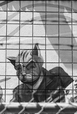 Pantheory 100 B&W 35mm Experimental Film 27 exp.