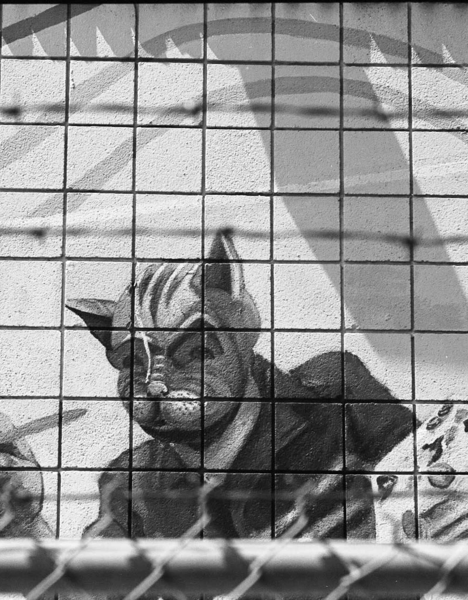 Pantheory 100 B&W 35mm Experimental Film 27 exp.