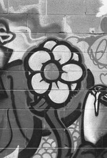 Pantheory 100 B&W 35mm Experimental Film 27 exp.