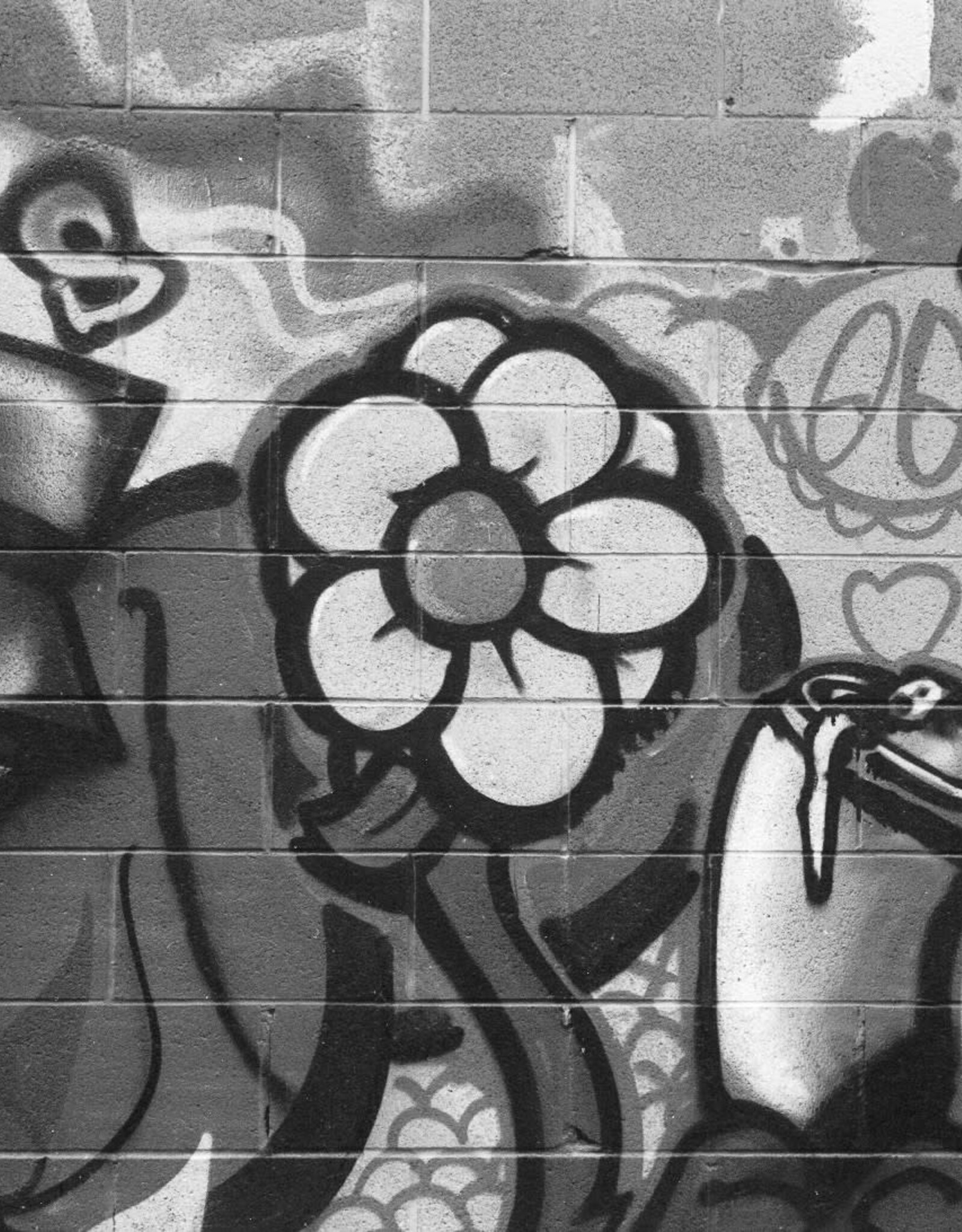 Pantheory 100 B&W 35mm Experimental Film 27 exp.