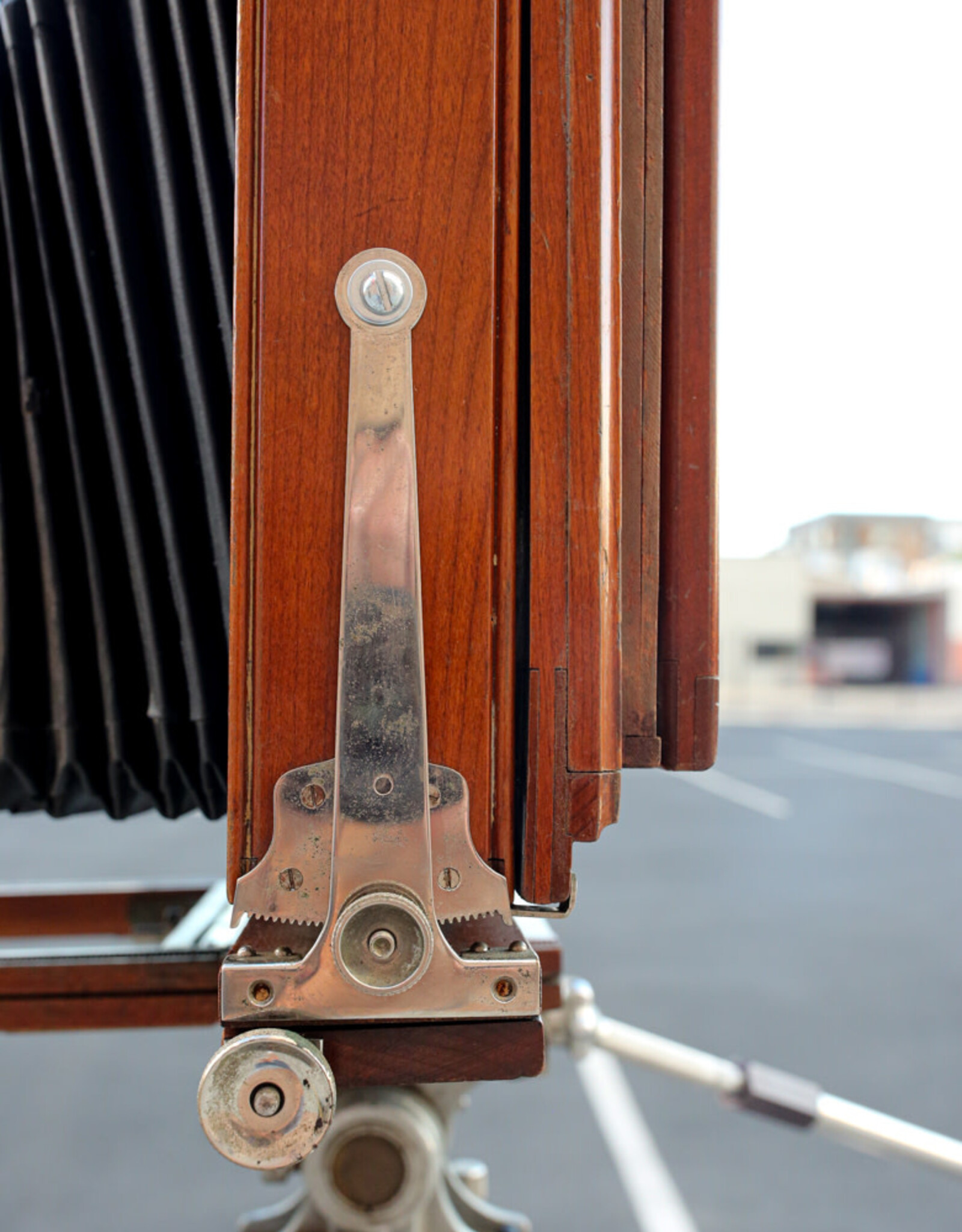 Korona Korona 7x17 Banquet Large Format Panoramic Camera