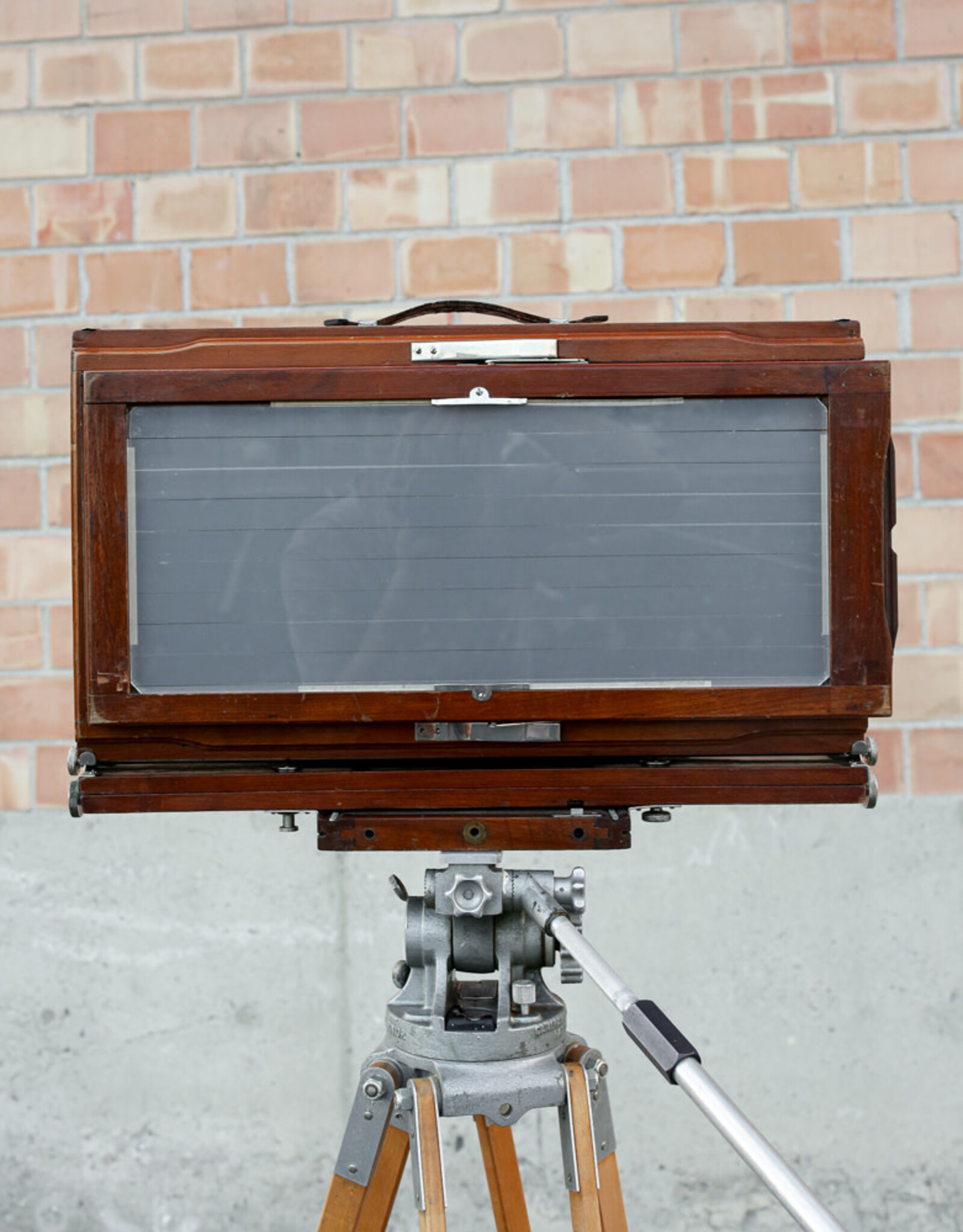 Korona Korona 7x17 Banquet Large Format Panoramic Camera