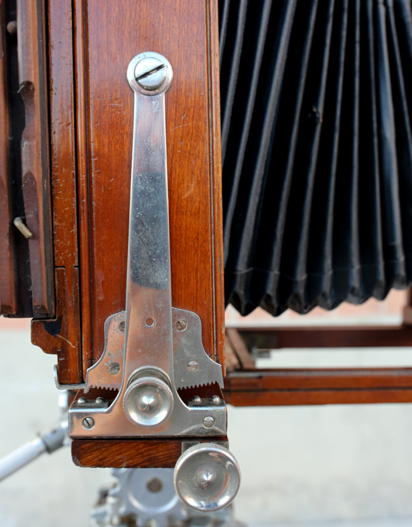 Korona Korona 7x17 Banquet Large Format Panoramic Camera