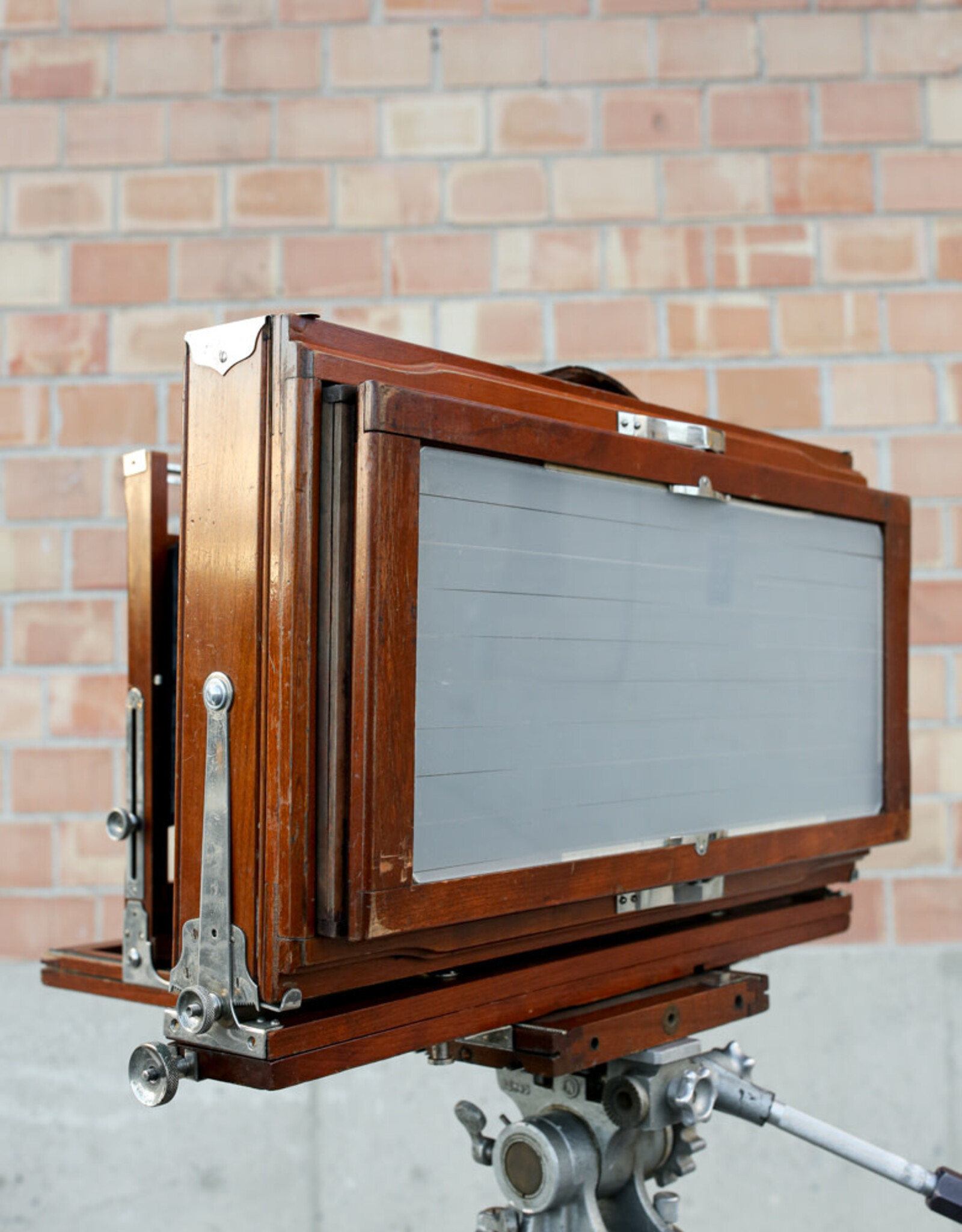 Korona Korona 7x17 Banquet Large Format Panoramic Camera