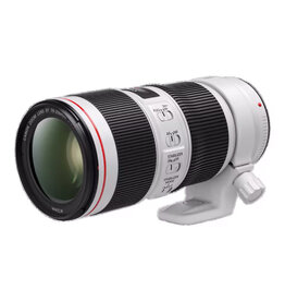 Canon Canon EF 70-200 f4L USM Telephoto Zoom Lens