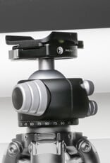 Really Right Stuff Really Right Stuff BH-55 Ball Head with Full-Size Lever-Release Clamp (Chrome)
