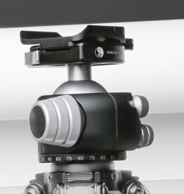 Really Right Stuff Really Right Stuff BH-55 Ball Head with Full-Size Lever-Release Clamp (Chrome)