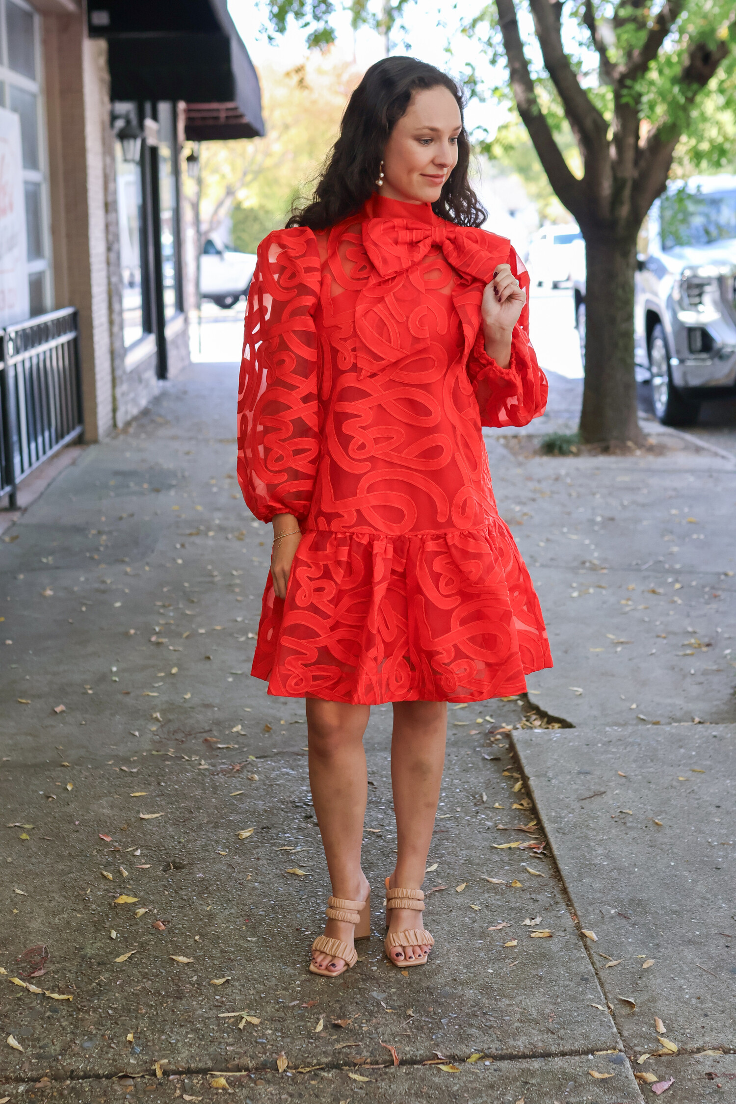 Bella Organza Dress - Tulips in Little Rock Bella Organza Dress - Tulips in Little Rock