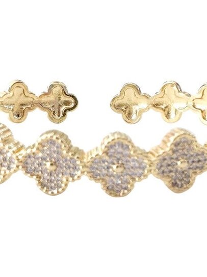 Collection Tulips in Little Rock