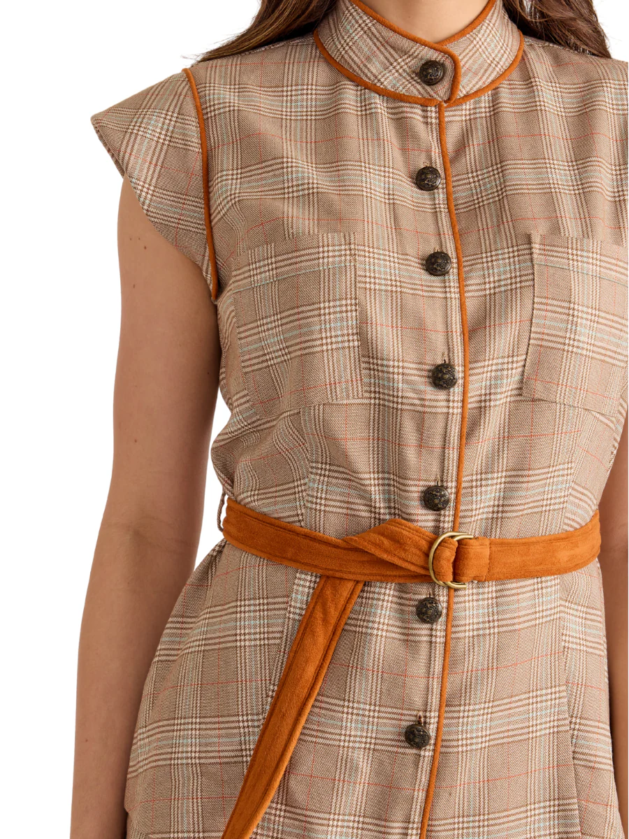 Alma Top - Tulips in Little Rock