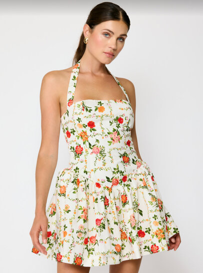 embroidered austin mini dress Austen Mini Dress