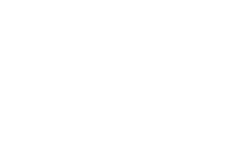 Tulips in Little Rock