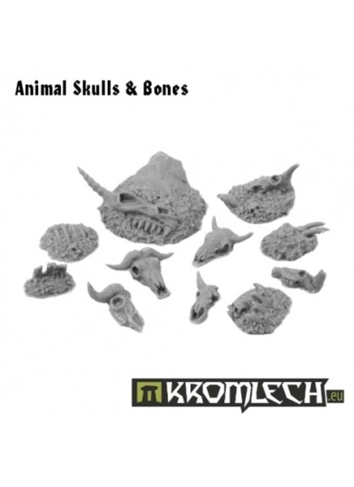 Animal Skulls and Bones (KRBK006)