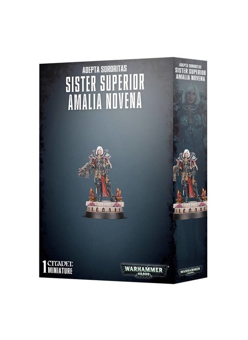 Sister Superior Amalia Novena