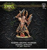 Privateer Press Skorne Master Ascetic Naaresh Warlock - PIP 74058