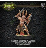Skorne Master Ascetic Naaresh Warlock - PIP 74058