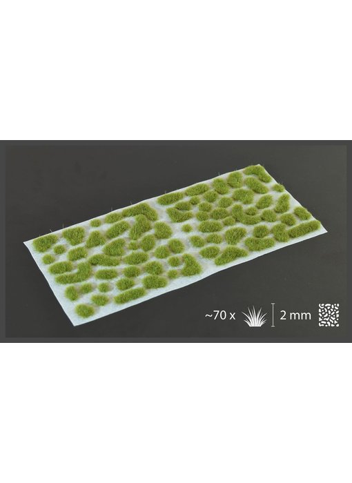 Dry Green Tufts 2mm - Wild