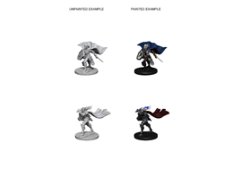 Pathfinder Unpainted Minis Wv4 Elf Female Paladin Kingdom Of The Titans Pathfinder Unpainted Minis Wv4 Elf Female Paladin Kingdom Of The Titans