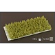 Spikey Green Tufts - Wild