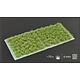 Dark Green Shrubs - Wild