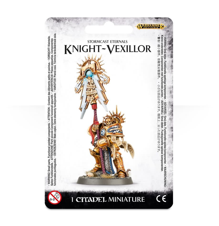 Knight Vexillor Kingdom of the Titans
