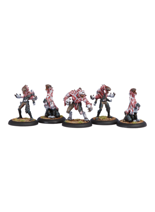 Legion of Everblight - Incubi (PIP 73031)