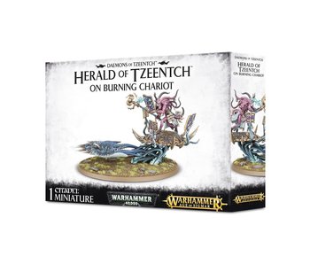 Herald of Tzeentch On Burning Chariot / Exalted Flamer of Tzeentch