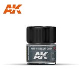 AK Interactive AK Interactive AMT-11 Blue Grey 10ml