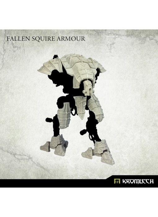 Fallen Squire Armour (KRVB102)