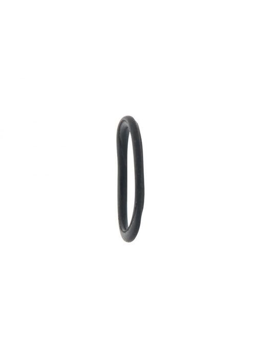 Handle O-Ring (IWATA-N1051)